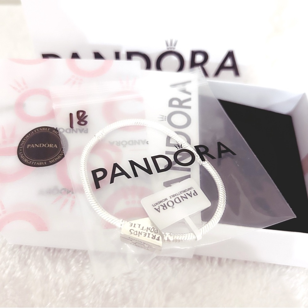 PANDORA MOMENTS Stranger Things Clasp Snake Chain Bracelet (18cm|7.1”) w/box - Picture 4 of 10